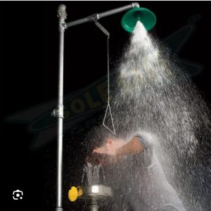 Full body shower